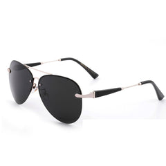 Men's Polarized Aviator Sunglasses